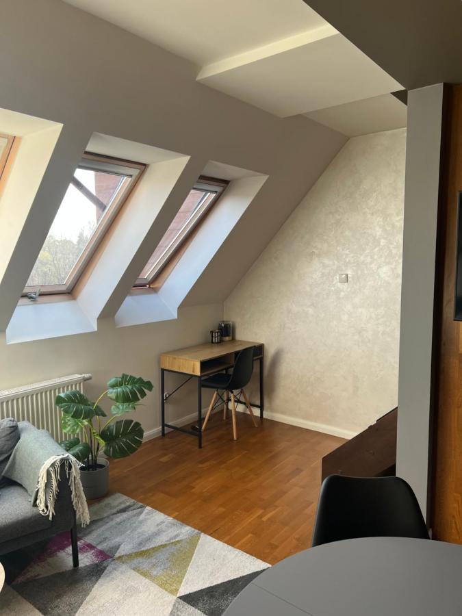 Apartament 30 ポラニツァ・ズドゥルイ エクステリア 写真